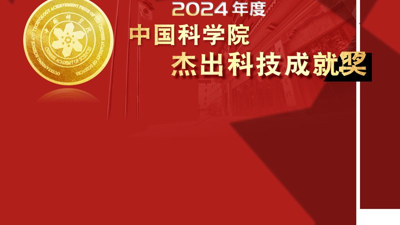 企业数据定制化服务：揭秘其价值与选择要点